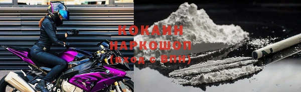 дживик Богородицк