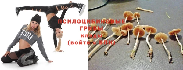 дживик Богородицк