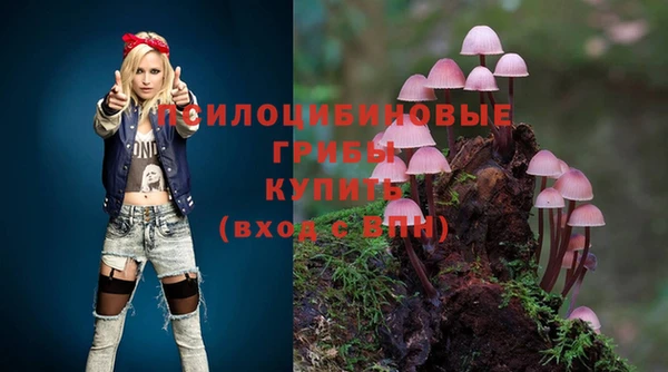 тгк Богданович