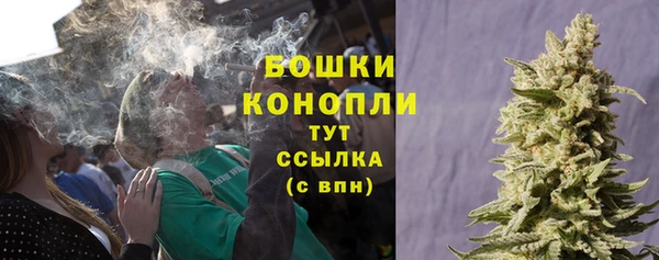 дживик Богородицк