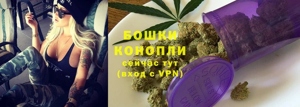 тгк Богданович