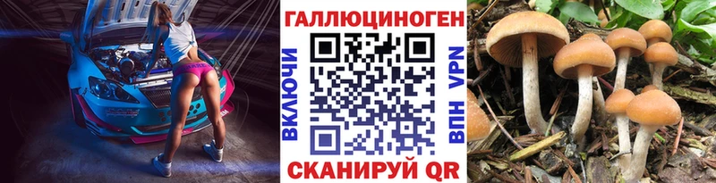 Псилоцибиновые грибы ЛСД Кумертау